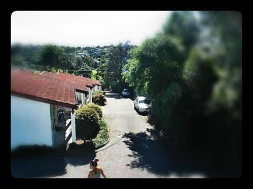 Browns Bay Olive Tree Motel & Apartment Okura Bush Esterno foto